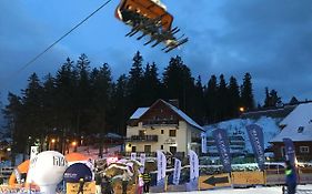 Safir przy samym WYCIĄGU